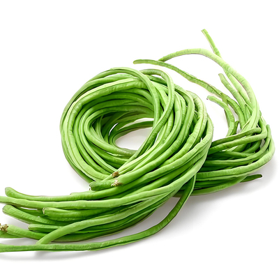 方震摘不败豇豆种子绿条特长豆角