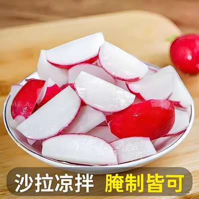 春季阳台秋种籽子简单多年生盆栽