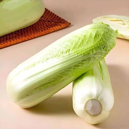 蔬菜种子绿青口大白菜种子播盆