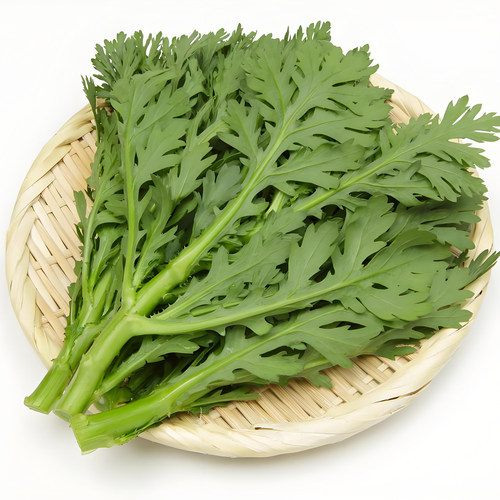 皇帝菜中叶茼蒿种子四季蔬菜