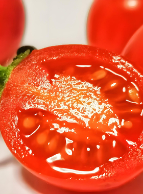 超甜瀑布圣女果小番茄种子高产樱桃圣女果苗种籽庭院盆栽蔬菜种子