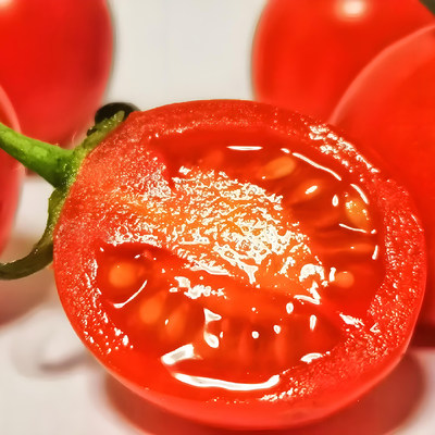 超甜小番茄种子庭院盆栽