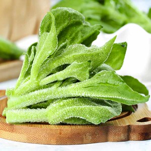 水晶冰菜种籽阳台蔬菜种子大全四季盆栽冰草苗秧秋冬种植青菜种孑