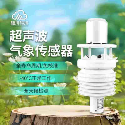 户外温湿度超声波微气象传感器智慧路灯全天候监测环境监测站