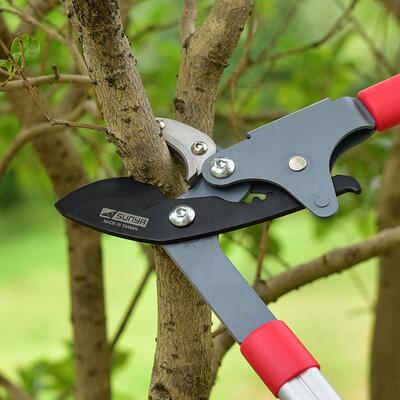 台湾进口SUNYA粗枝剪SK5刀片粗枝剪大力剪修剪树枝剪刀齿轮传动轴