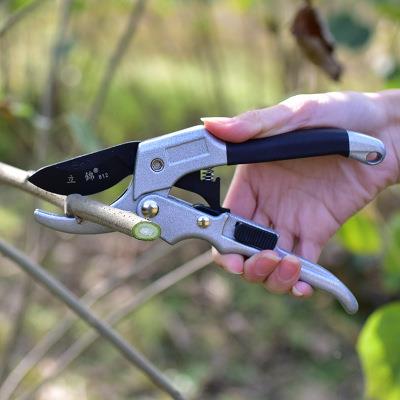 园林修枝剪修剪树枝花木园艺剪刀摘果剪滑轮枝剪粗枝剪刀防锈耐用