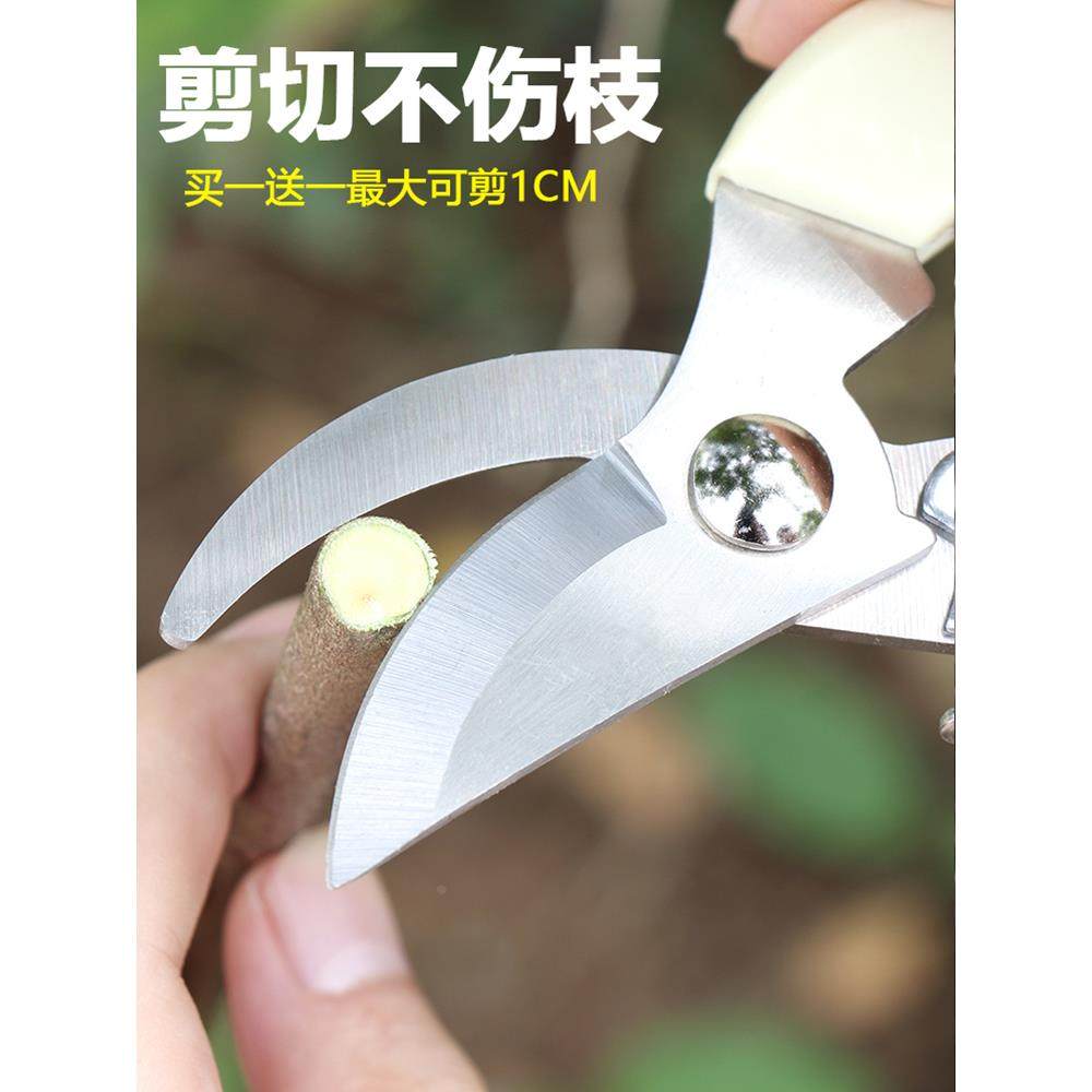 德国不锈钢强力园林园艺修枝剪清仓家用省力修花修建树枝花卉剪刀