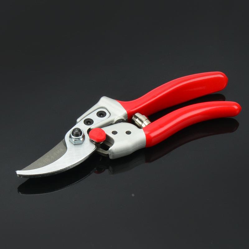 台湾进口园林枝剪刀果树苗修枝剪省力园艺剪摘果剪花艺剪弹簧T606