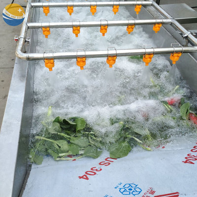 可定制多功能洗菜机流水线 厂家 扁豆清洗振动布料常温去水机 8