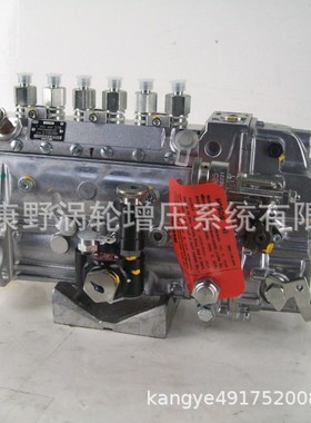 泵F0024AZR80 F002A0Z267 F002A0Z599和101609-3640 101062-9310