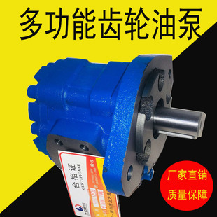 多种规格 A1TL齿轮泵 钻机液压泵 CBY2016