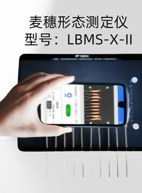 麦穗形态测定仪 型号：LBMS-X-II测量范围：5~20cm测量误差：±2%