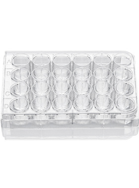 LABSELECT(甄选)11312 24孔细胞培养板,纸塑包装