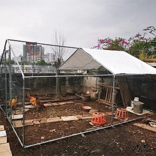 户外养鸡棚孔雀养殖鸡棚特大养鸡鸽子笼防雨外鸡舍笼子围栏大型