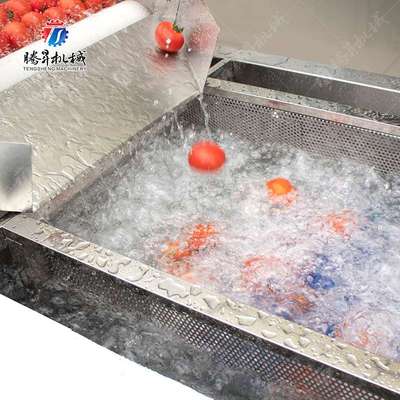 商用瓜果根茎毛辊清洗机 油菜芹菜气泡清洗设备 果蔬清洗流水线