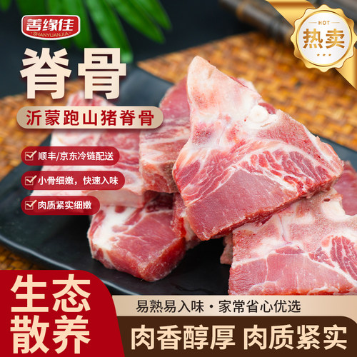 善缘佳猪脊骨沂蒙慢养跑山猪龙骨里脊骨新鲜煲汤红烧清炖生鲜猪肉