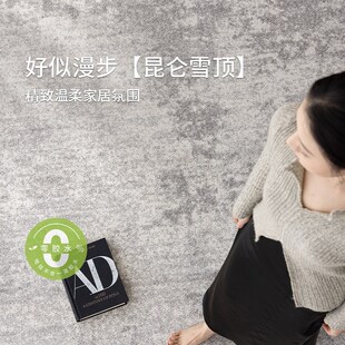 无胶防水客厅地毯意式轻奢风沙w发茶几垫现代简约高级卧室2025新