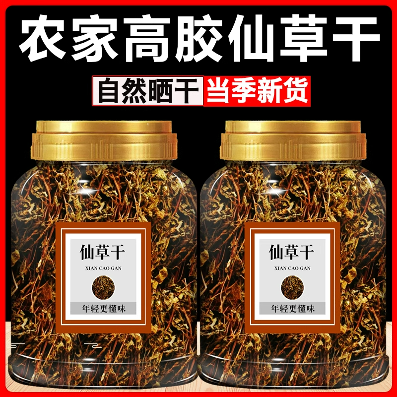 高胶质仙草干草叶新鲜仙人草龟苓