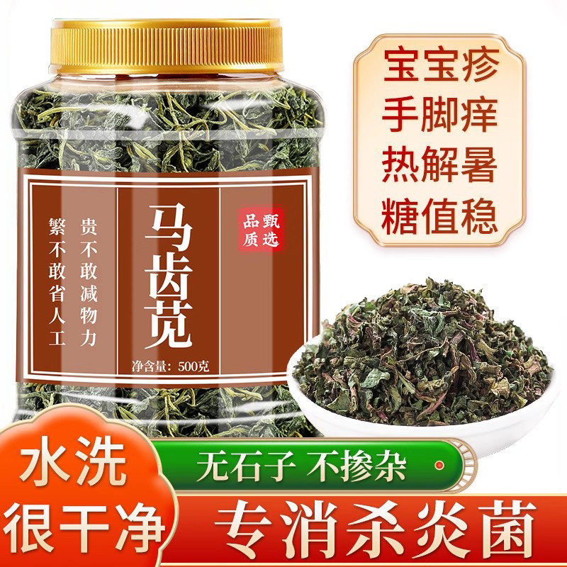 马齿苋的功效与作用药浴中药材五行草瓜子菜蚂蚱菜粉敷脸婴儿泡脚