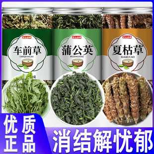 车前草蒲公英夏枯草散结茶野生干货官方旗舰店中药材袋泡茶泡水喝