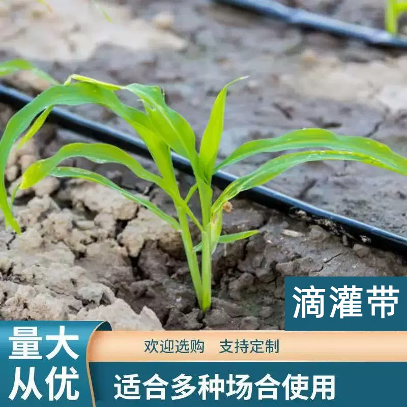 农用滴灌管16mm微喷带大棚蔬菜单双孔滴水管P大棚种植菜园滴灌水