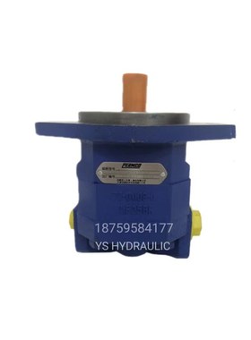 天津泊姆克齿轮泵P124Am085TXZA10-54铁福来油泵P124A085AOZA10-5