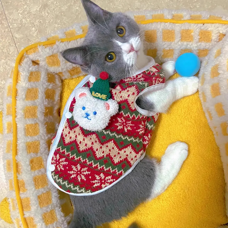 猫咪衣服秋冬款保暖加绒新年可爱