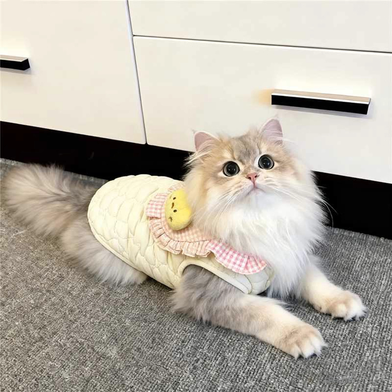 猫咪衣服秋冬款保暖棉衣金渐层英短布偶猫宠物狗狗背心防掉毛马甲