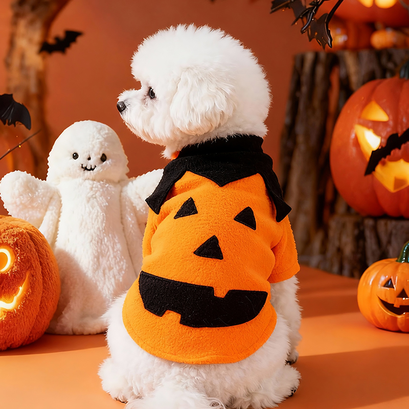 万圣节宠物狗狗衣服秋冬泰迪比熊雪纳瑞小型犬猫咪搞笑南瓜变身装