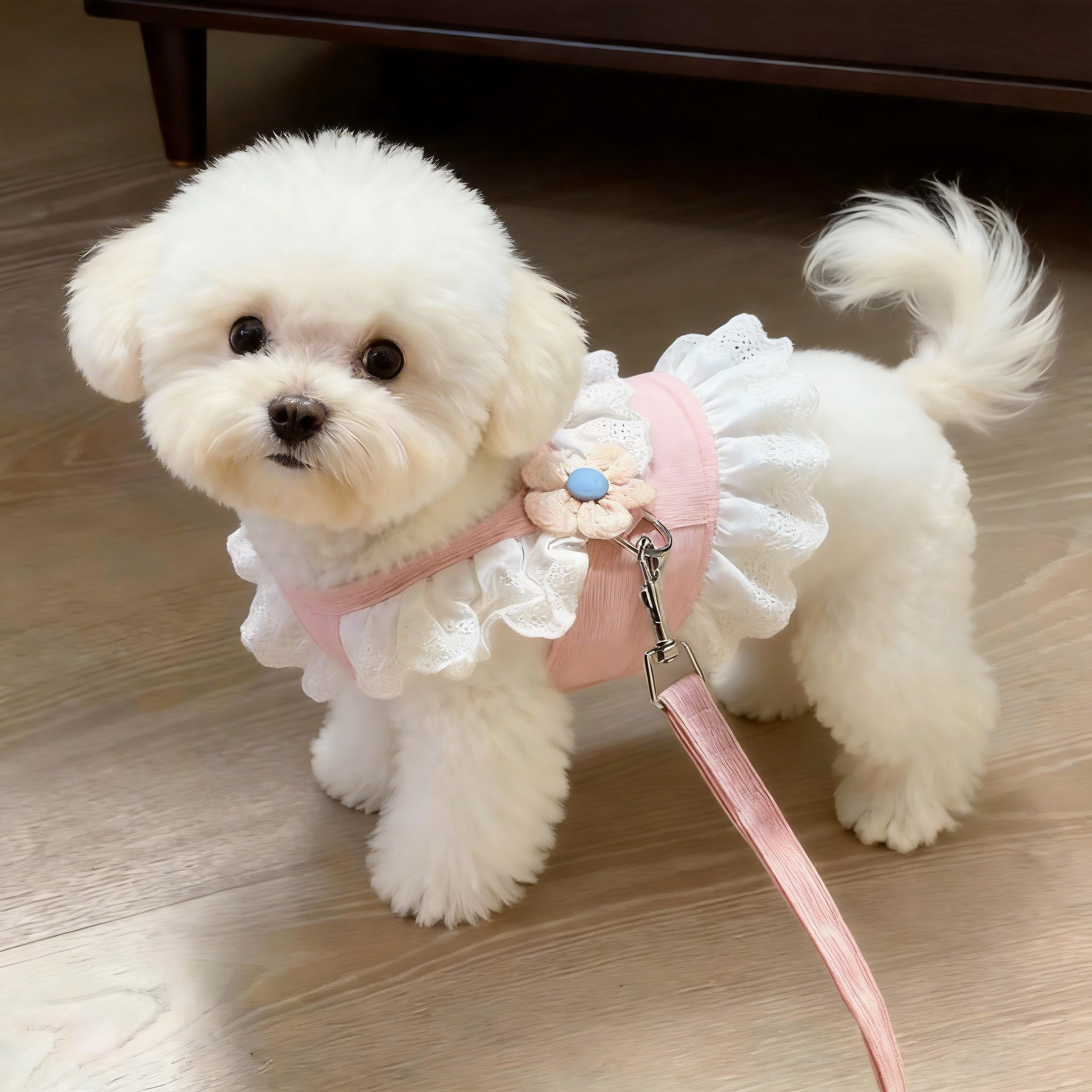 狗狗牵引绳春夏防脱胸背带图片