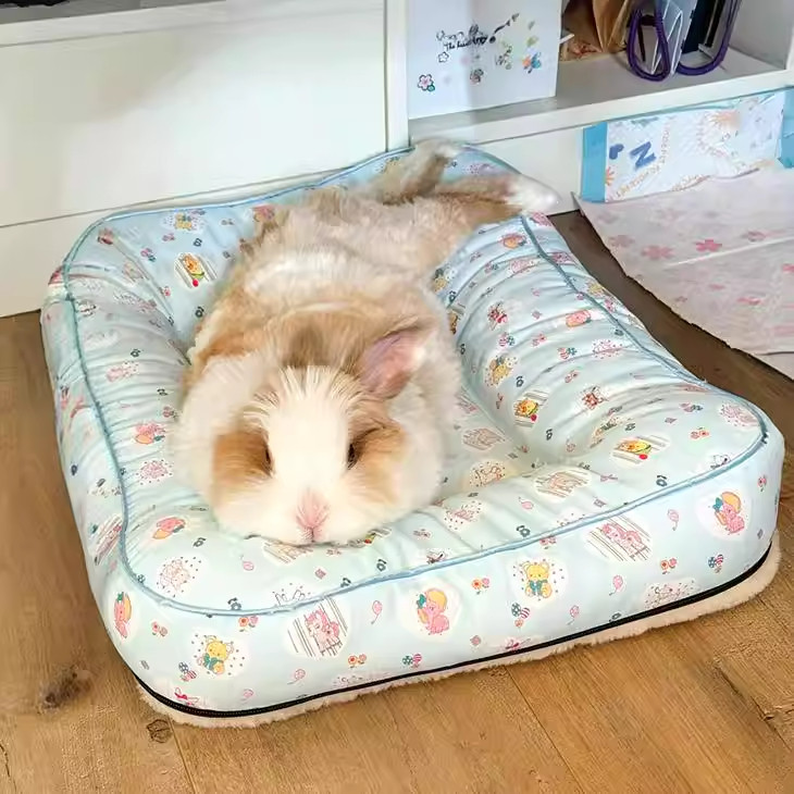 兔子春夏季慵懒趴趴窝猫窝狗窝图片