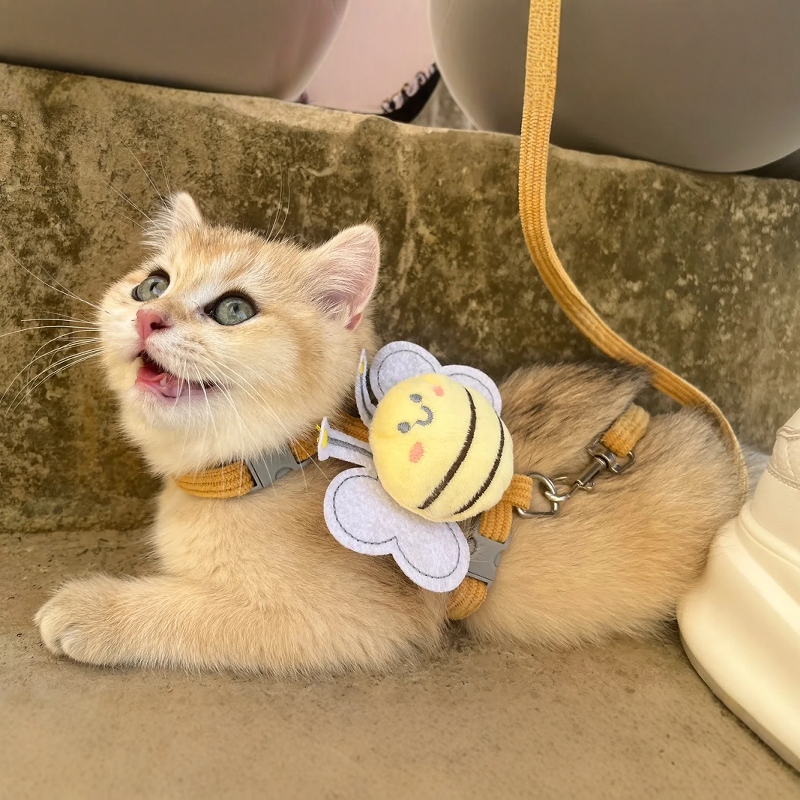 猫咪牵引绳蜜蜂工字绳防掉可调节幼猫小猫外出专用宠物遛猫遛狗绳