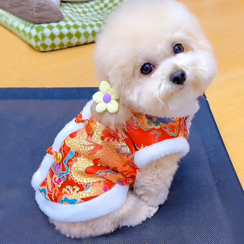 狗狗衣服秋冬新年龙袍唐装保暖加厚泰迪比熊博美小中型犬宠物棉衣