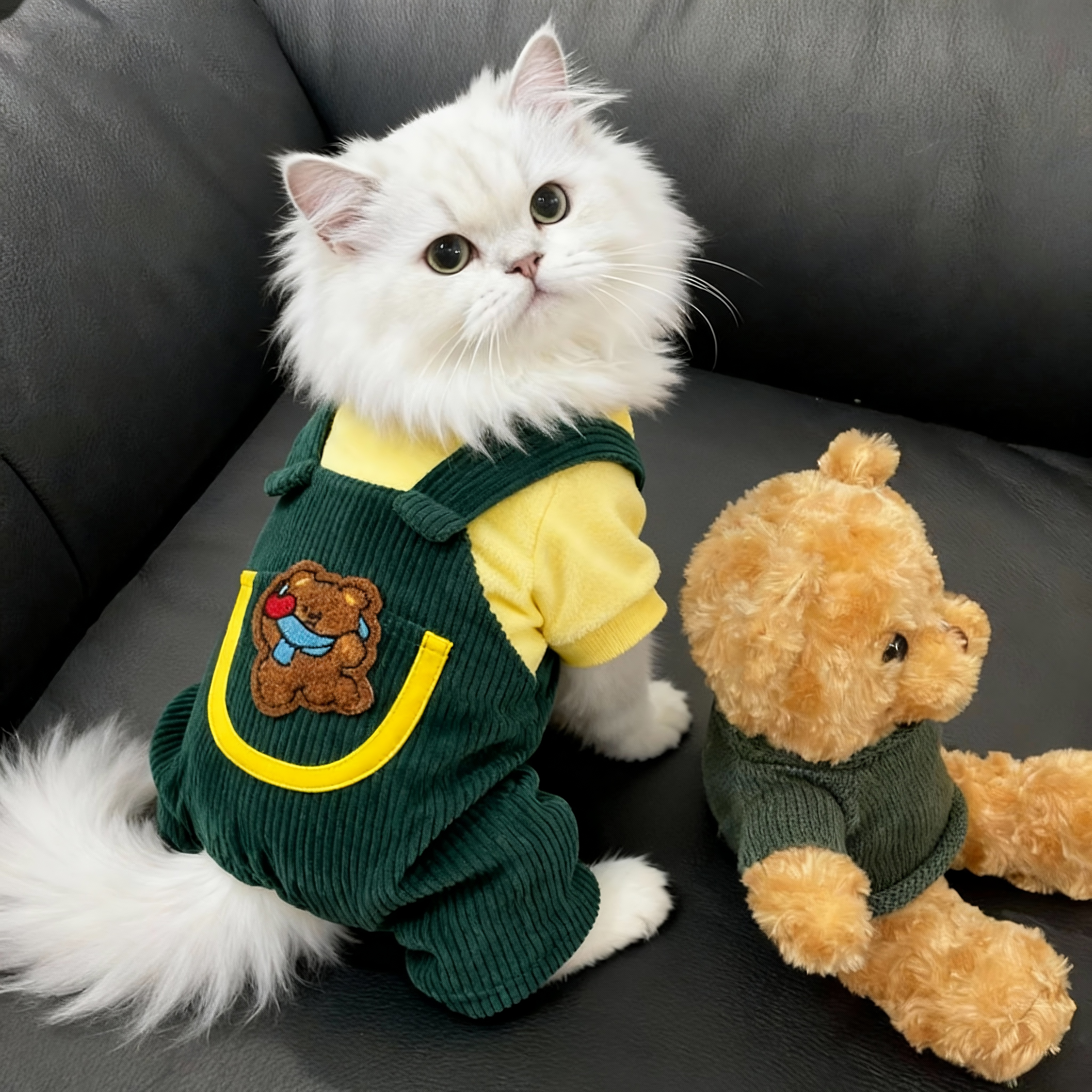 猫咪衣服秋冬保暖潮流小熊背带裤布偶英短德文比熊宠物狗狗四脚衣