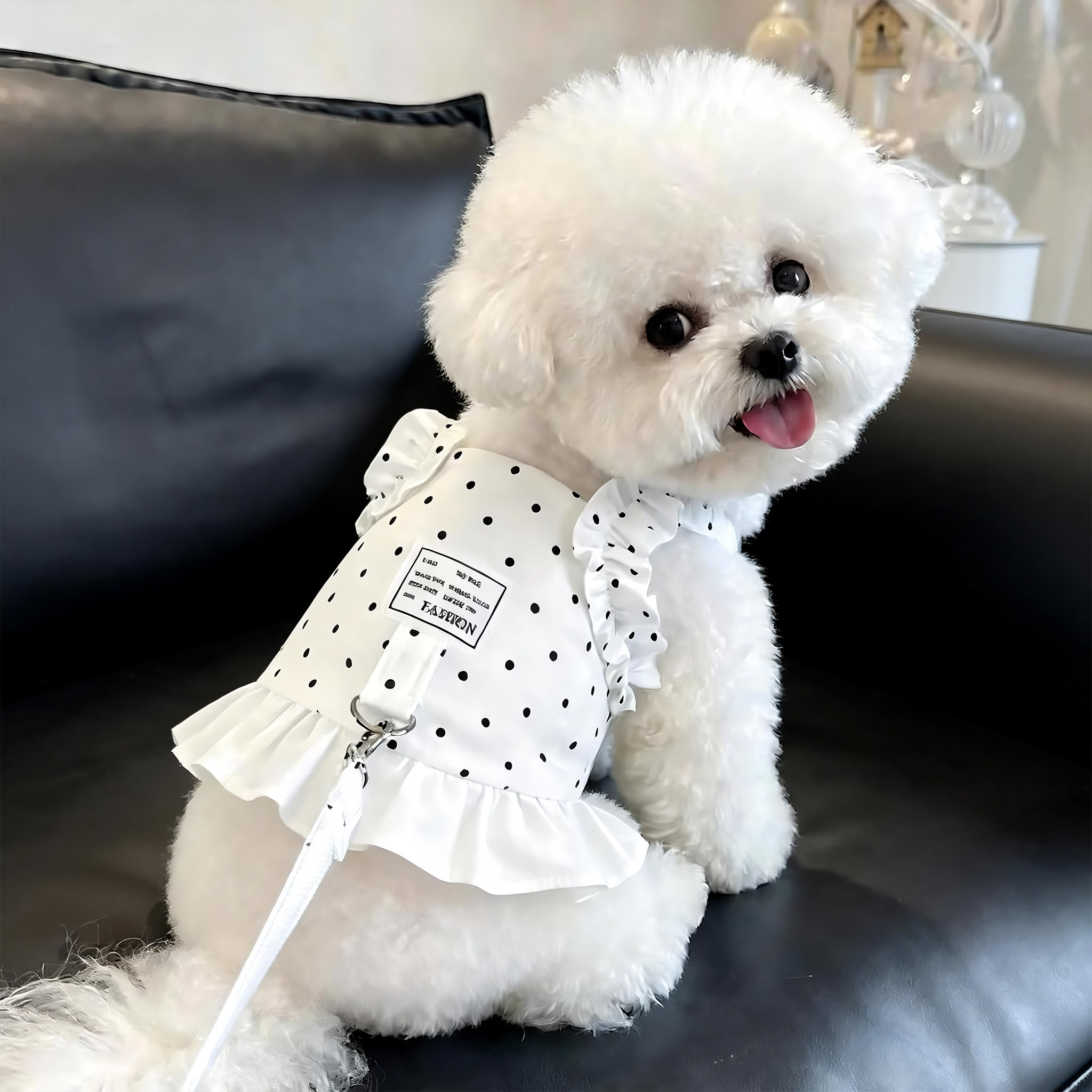 狗狗牵引绳夏季猫咪胸背带外出专用背心式小型犬比熊泰迪遛狗绳子