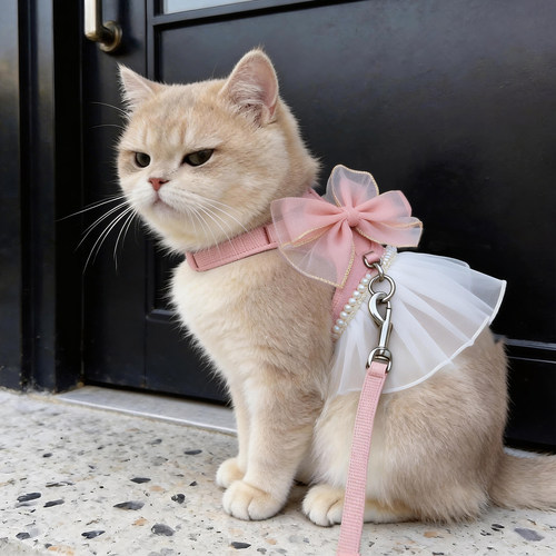 猫咪牵引绳蝴蝶结胸背防挣脱外出专用溜猫绳幼猫狗狗背心式可调节 - 封面
