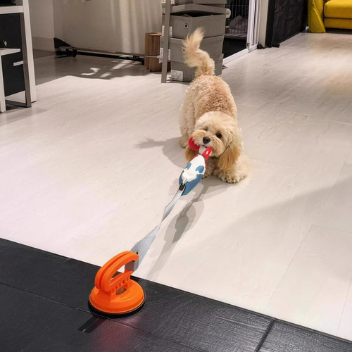 狗狗玩具拔河吸盘消耗体力逗狗棒