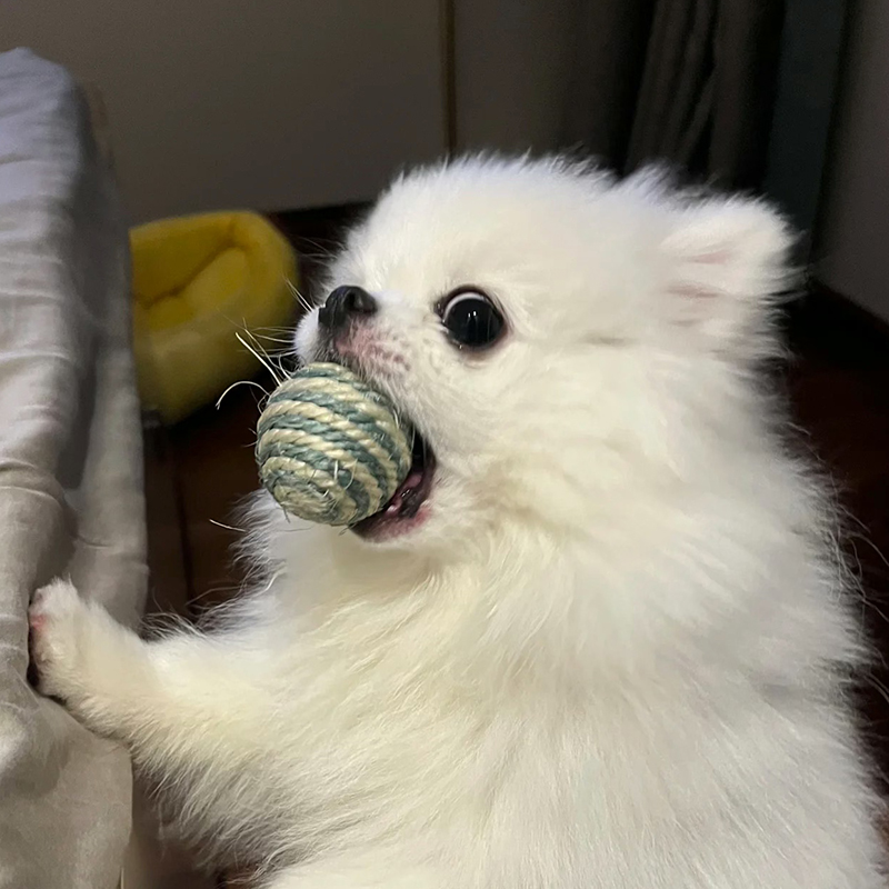 剑麻球狗狗玩具自嗨球磨牙棒