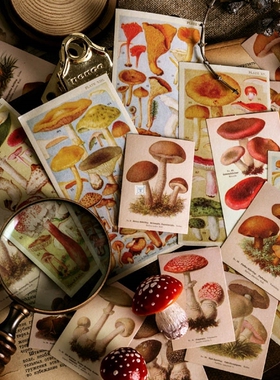 极速60Pcs Vintage Planrt Stickers Retro Flowers Diary Pr Adh