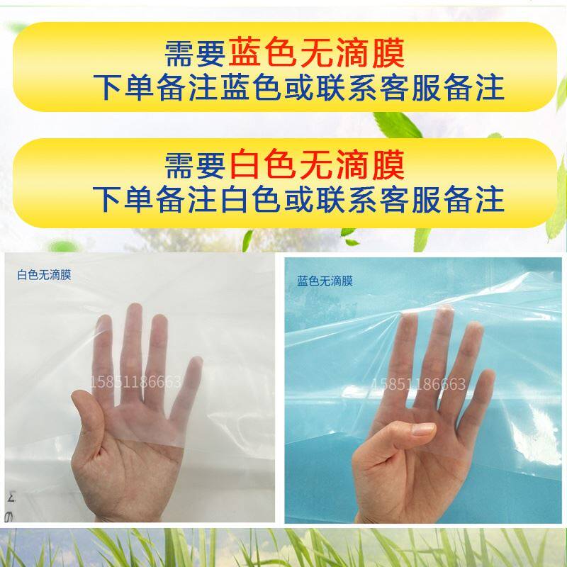 新品厚大棚膜c蓝色无膜滴塑料薄F膜纸布水防农用蔬菜养殖膜