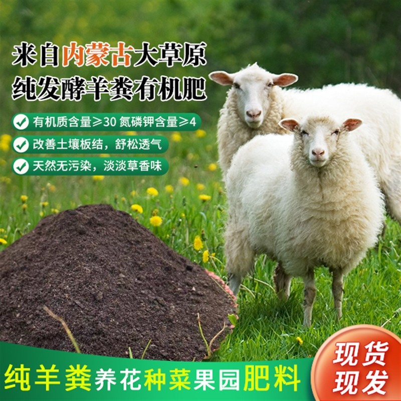 极速小杨厂d长内蒙古发酵羊粪有机肥厂家腐熟纯羊粪养花种菜冬肥