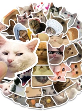极速50PCS Funny Cat Kawaii Animals Stickers LuggagUe Noteboo