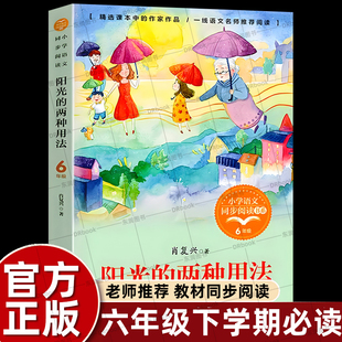 正版肖复兴散文集精选阳光的两种用法六年级下册课外书必读老师推荐经典小学语文同步阅读统编教材配套大字彩图课文作家作品系列