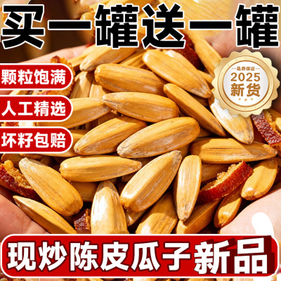 【年货批发】陈皮瓜子批发小零食