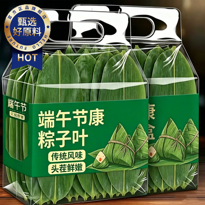 农科院野生粽叶新鲜粽子叶大号粽叶包粽子专用现摘叶子官方旗舰店