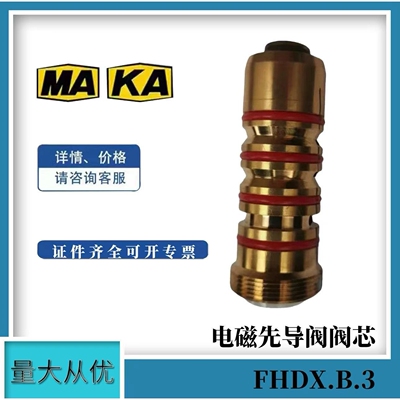 天津华宁电磁先导阀阀芯FHDX.B.3