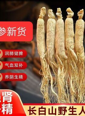 长白山人参野山参高年人东北参林下参正品干人参中药材泡酒白参
