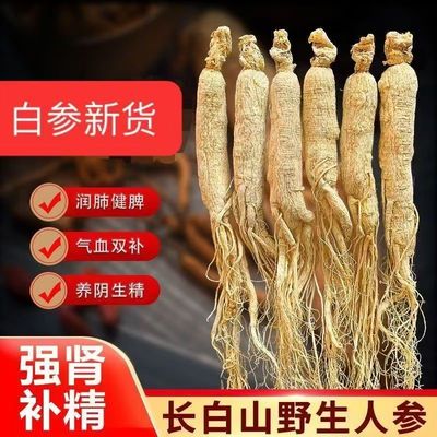 野山干参长白山高年人参泡酒500g