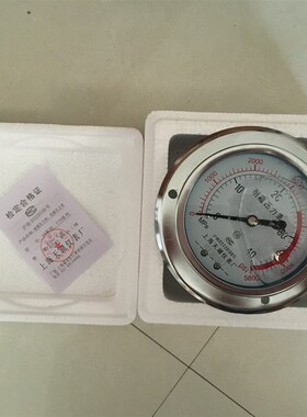 杭州富阳东亚YN100ZT ZQ轴向带边耐震压力表抗耐振油压不锈钢上海