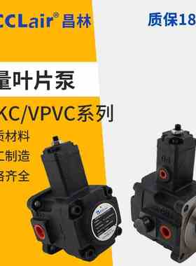VPVC叶片泵VPKCC15TCVP TCVVP VB1B1 VD1D1 VE1E1 VPKC-F20/30/40